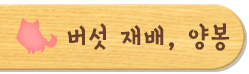 버섯 재배, 양봉