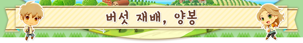 버섯 재배, 양봉
