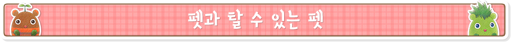 펫과 탈 수 있는 펫