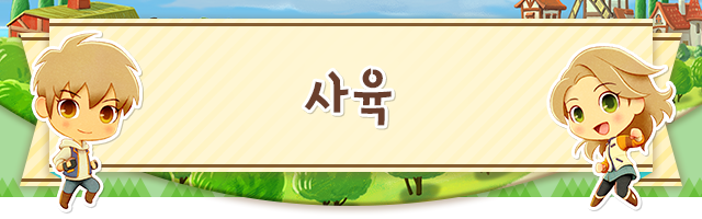 사육
