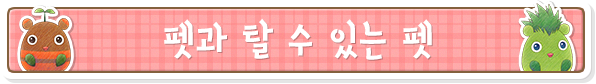 펫과 탈 수 있는 펫
